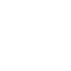 DANICE PROFESSIONAL