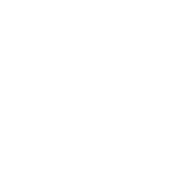 Lavish limo