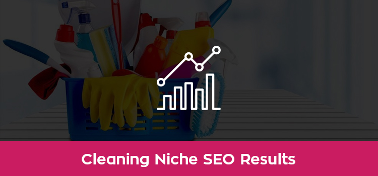 Cleaning SEO Case Study