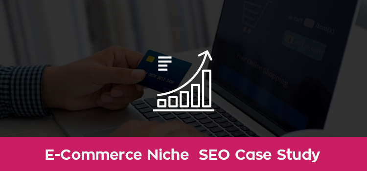 Ecommerce SEO Case Study