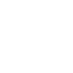 Dhulha Dulhan