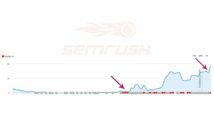 SEO Stats for Fitness website